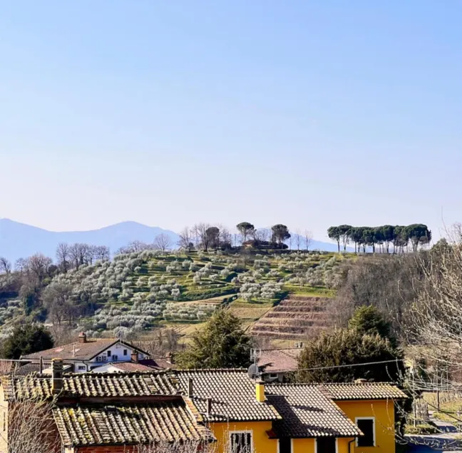 Casa Pozzi - Image 1