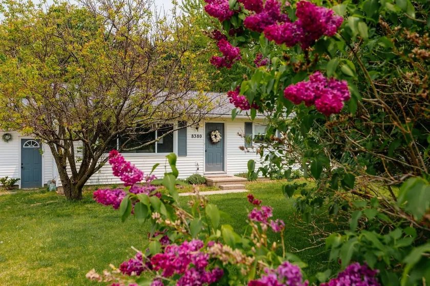 CaterCasa: Fenced Yard~Dog Friendly~Games~Sauna - Image 1
