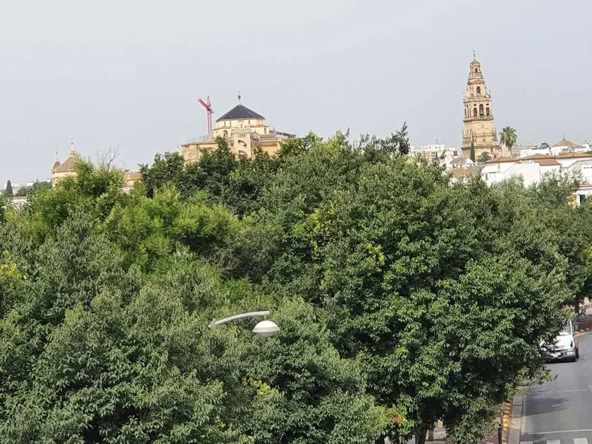 House on the riverbank next to a mosque. - Image 1