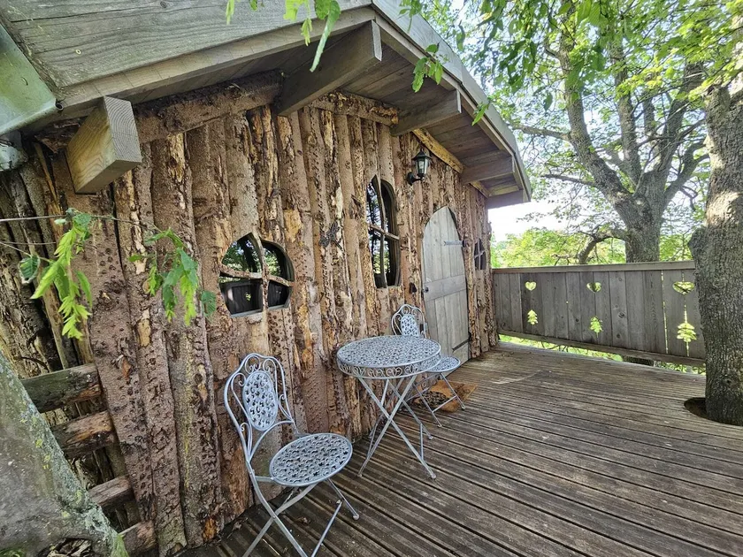 The Treehouse - Image 1