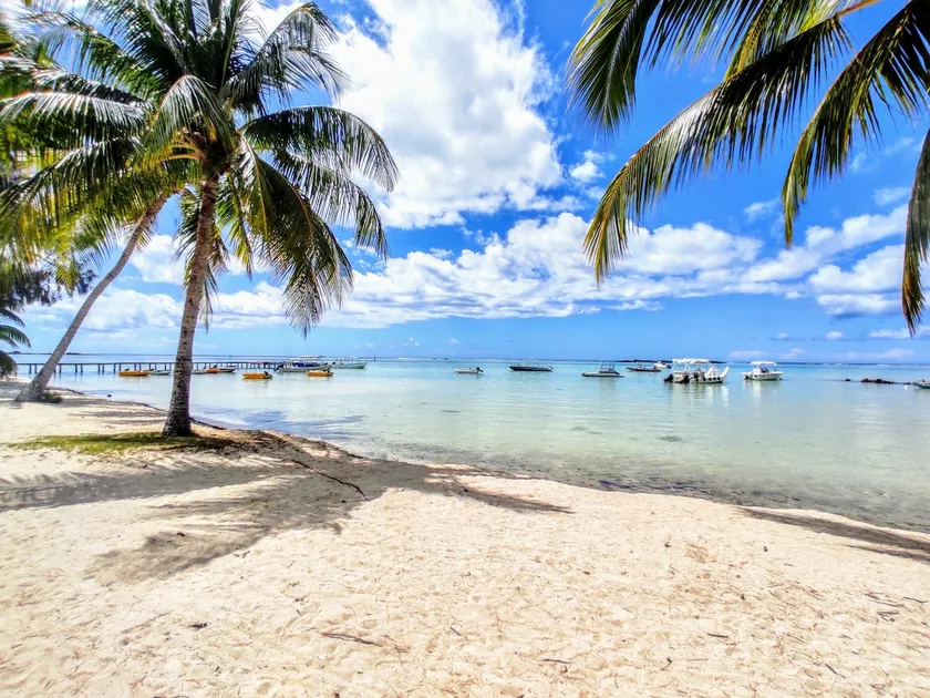 MOOREA - Tropical Soul - Image 1