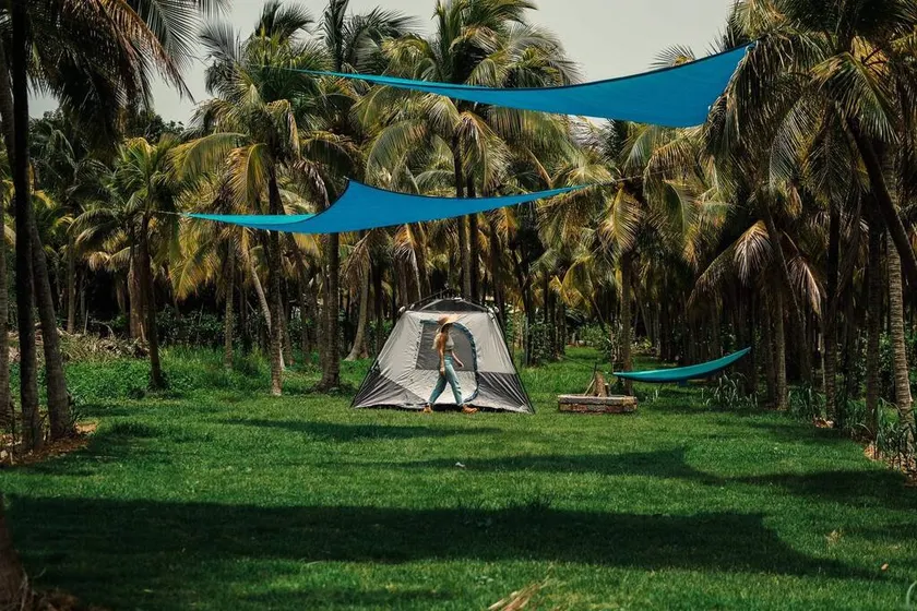 Camping area on a palm farm facing the sea - Image 1