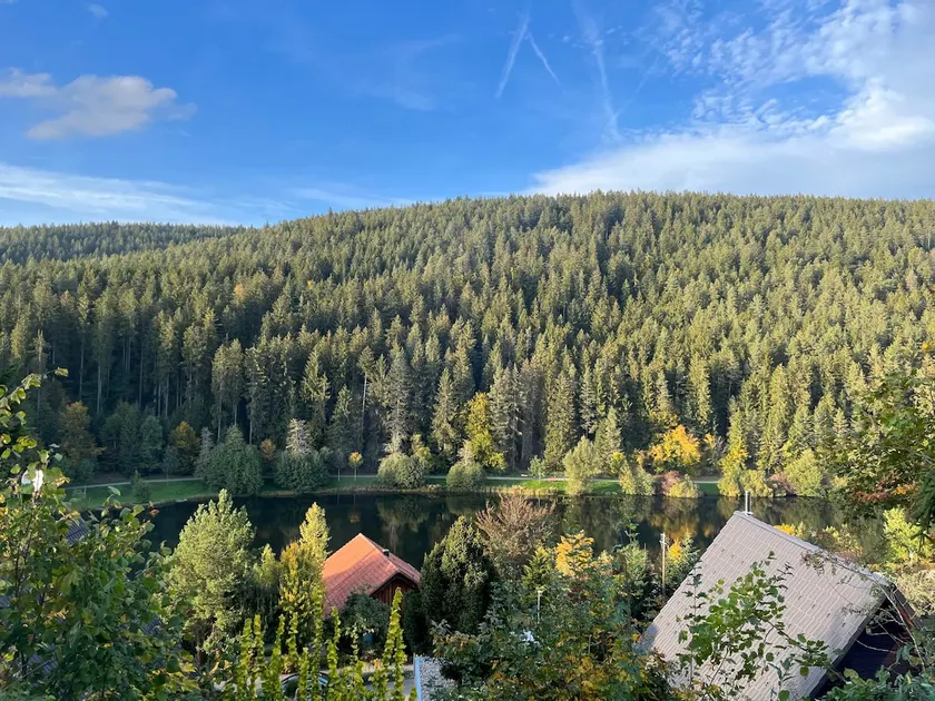 House Löwe - Holiday home by the bathing lake - Image 1