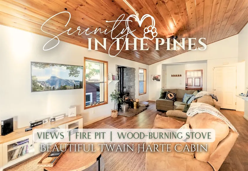 Serenity in the Pines: Cozy Mountain Retreat - Image 1