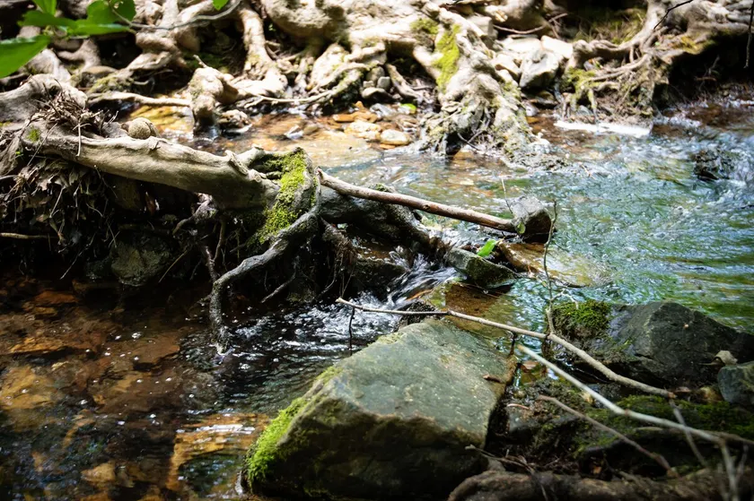 Water Music - Image 1