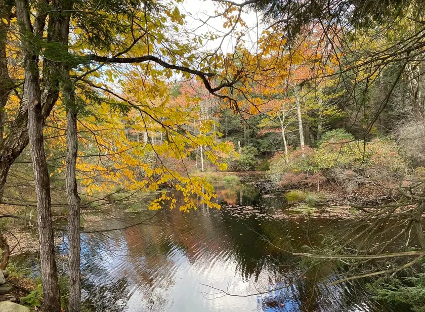 Kayak. Lake front. Tiny house. Fire pit. - Image 1