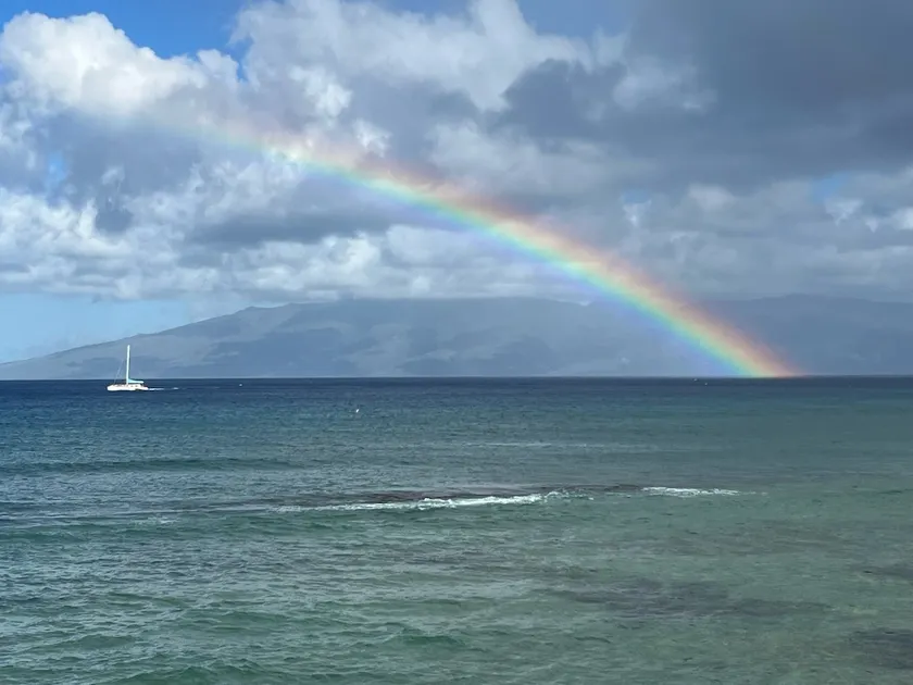 A/C every room! Direct Ocean View! Special Rates! - Image 1