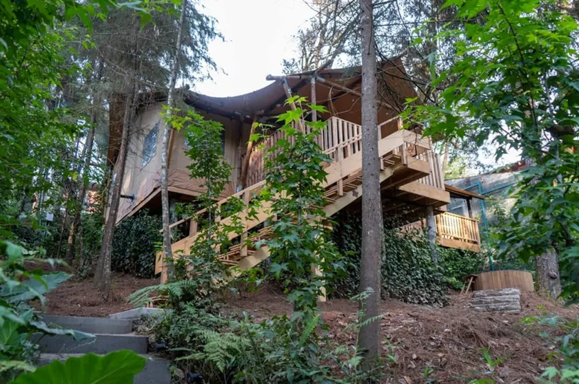 Macadamia, cabin with jacuzzi, fire pit and terrace! - Image 1