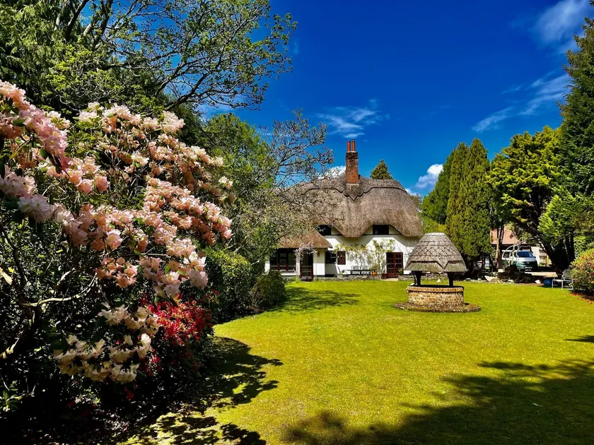 Galtons Cottage Dorset Thatched Cottage - Image 1