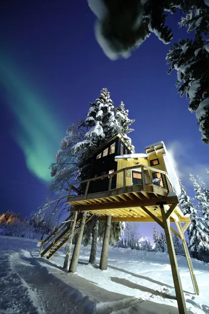 Raven*Modern*Treehouse*Hot tub* - Image 1