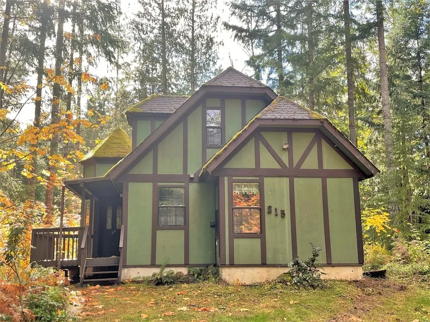 Mossy Moose Cabin | Near White Pass & Mt Rainier - Image 1