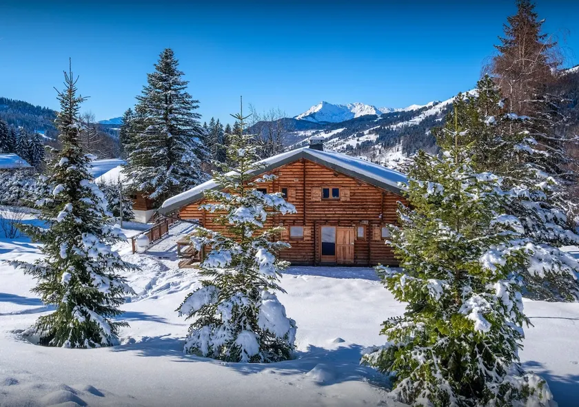Les Gets ski for 8 spa and garden - Image 1