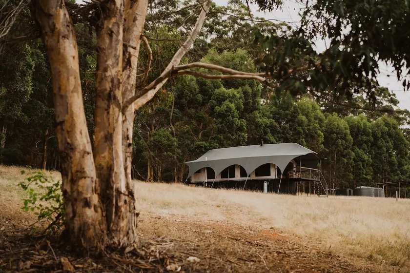 Wandagar Eco Tent Carnaby - Image 1