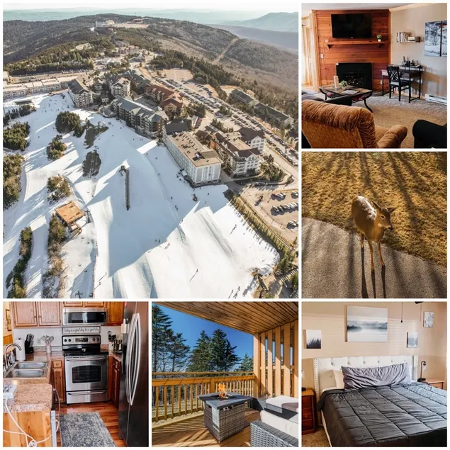 Cozy Condo at Summit - Image 1