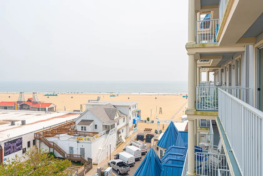 Experience a Seashore Adventure! Book today! - Image 1