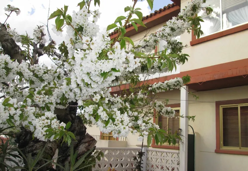 Cuencaloft, Pipo's courtyard - Image 1