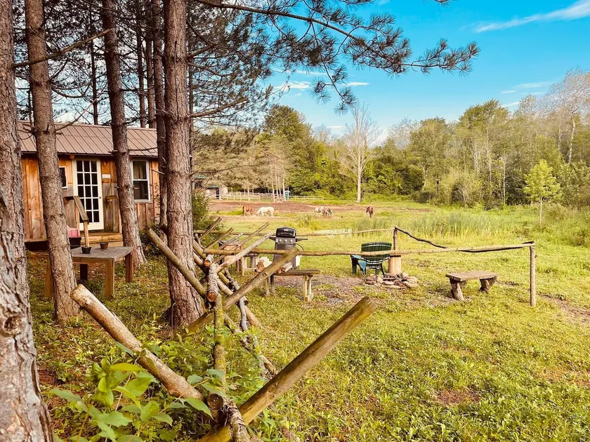 Rustic Cabin on D&K Ranch - Max’s Glamping Cabin - Image 1
