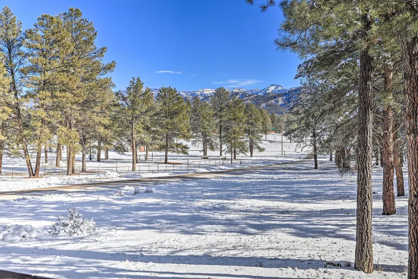 Pagosa Springs Gem w/ Yard, Decks + Mtn Views! - Image 1