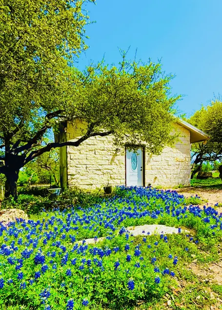 Stylish Zen Cottage at KC Memory Lane - Image 1