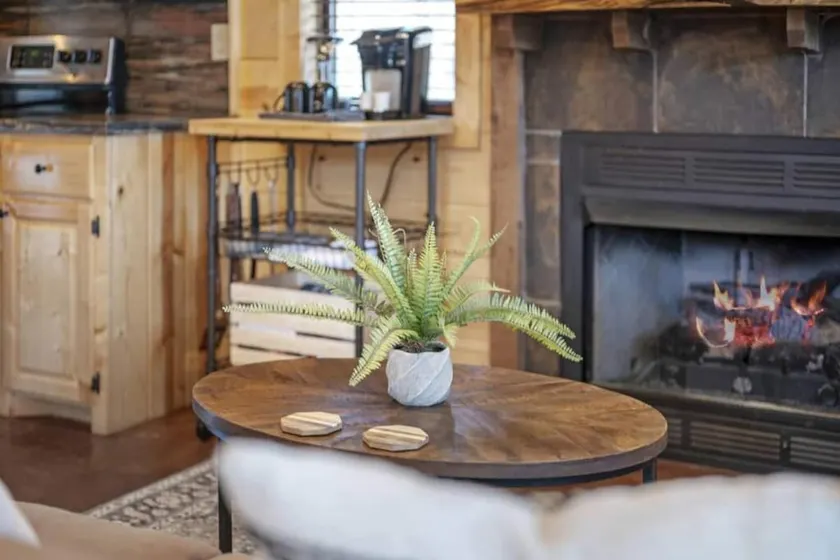 Natures Gem-Cozy 1 Bedroom/Couple Getaway/Hot Tub/Perfect Location - Image 1