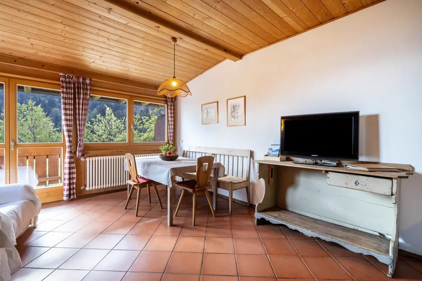 Mayrhof Apartment Tanne - Image 1