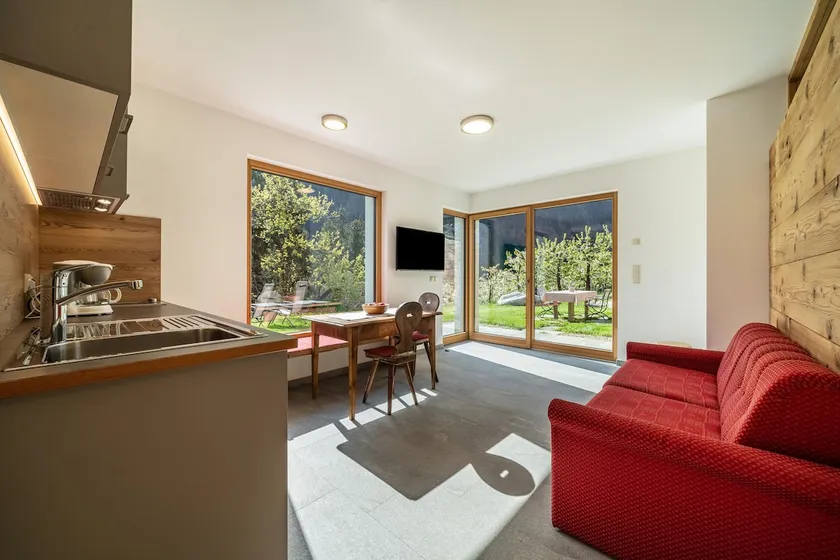 Mayrhof Apartment Vergissmeinnicht - Image 1