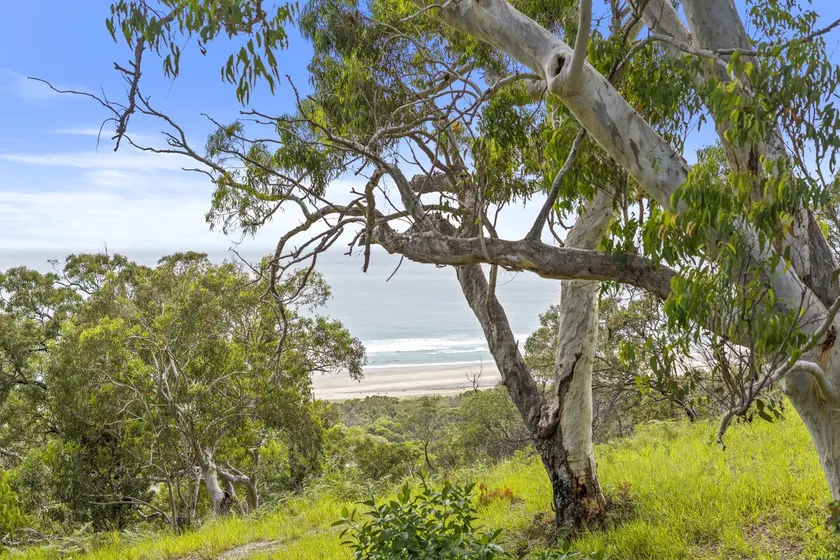 Surf Gums + Ocean Views + Sleeps 9 + Renovated - Image 1