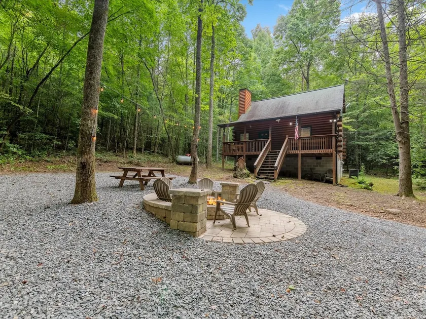 Lazy Bear Cove - Blue Ridge, GA - Image 1