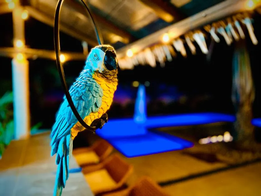 Island Breeze - Tiki Bar/Pool/Spa/Sleeps 10 - Image 1