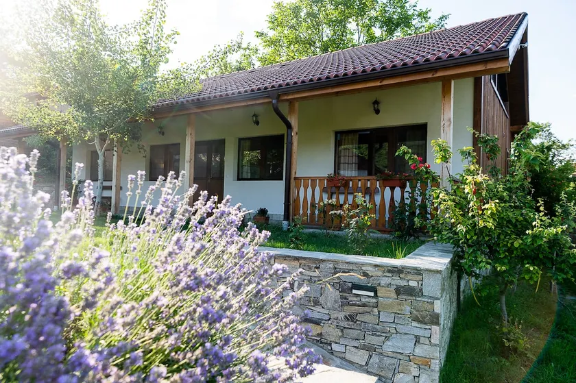 Walnutcottage close to nature - Image 1