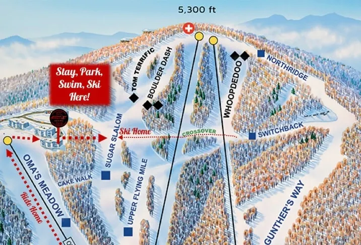 APPresSki - 5 bed Ski in Ski out - 50 Steps to Ski Sugar Mountain Slopes - Image 1