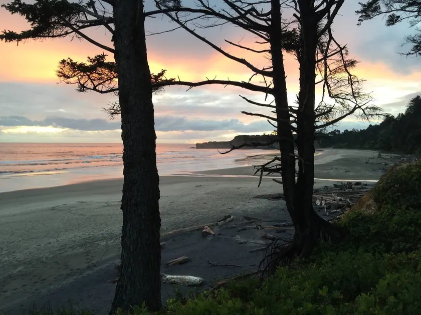 The Ramble On  Oceanfront A-Frame Pet Friendly - Image 1
