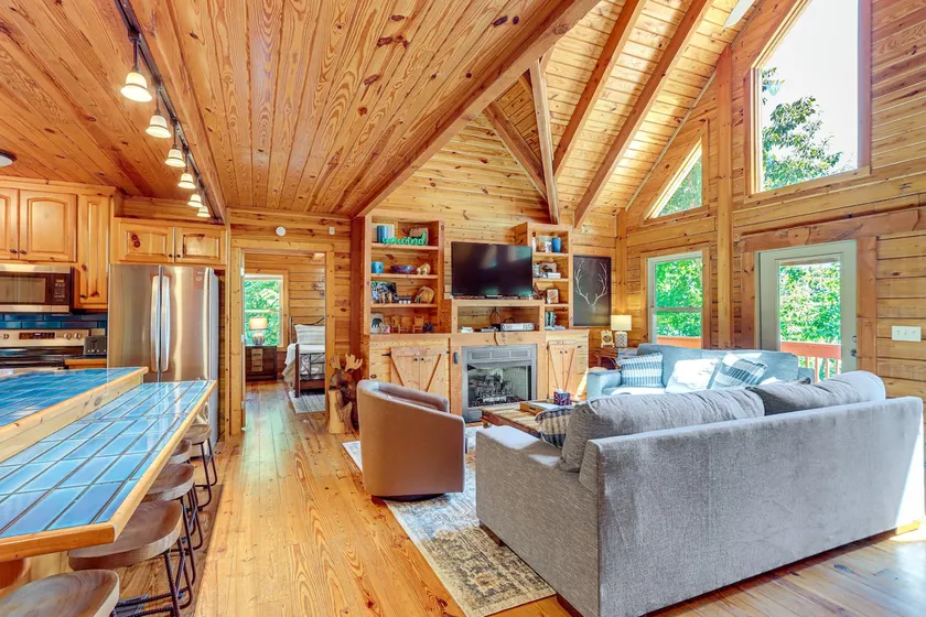 'Owl's Nest' Pet-Friendly Cabin w/ Private Hot Tub - Image 1