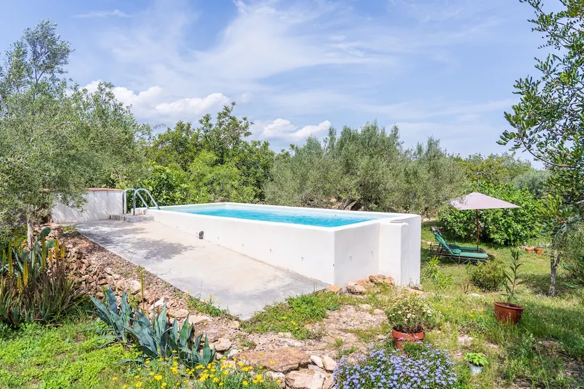 House in olive grove 3 km from the coast - Image 1