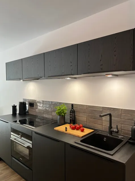 Apartmenthaus Stade Schwingewiesen Apartment 4 - Image 1
