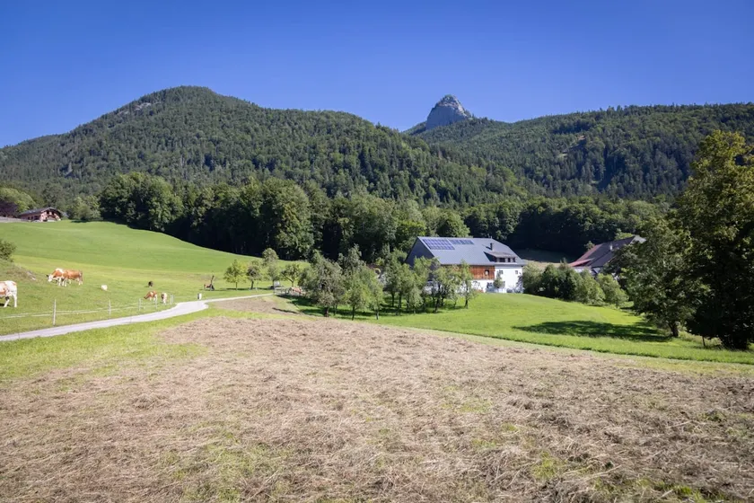 Grafbauer Studio 1 - Schwarzensee [Black Lake] - Image 1