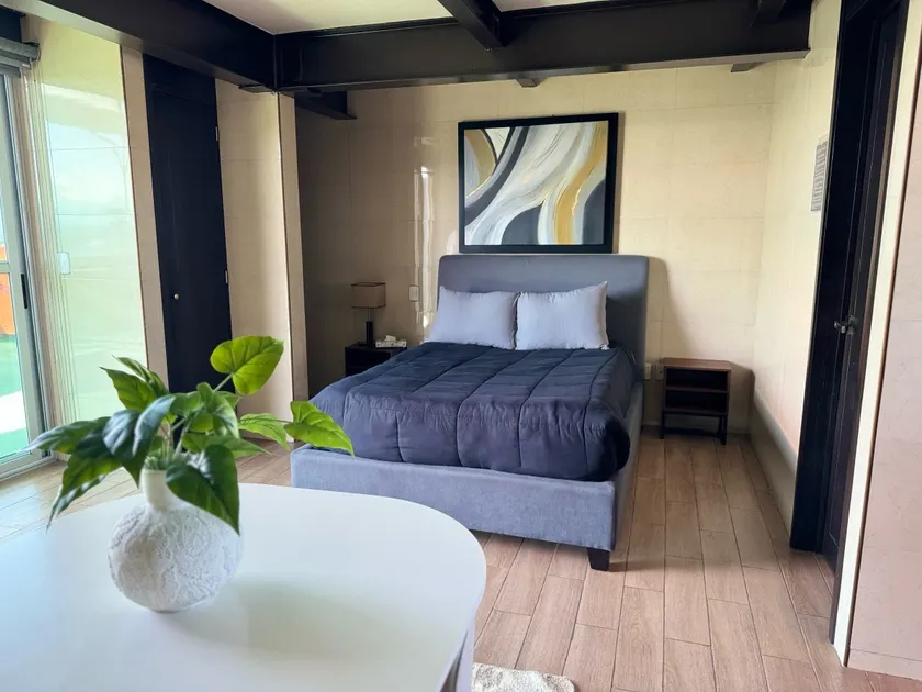 Luxury Rooftop SuiteB - Image 1