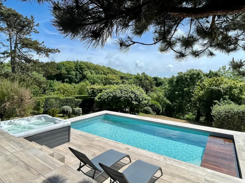 Beautiful house with pool & jacuzzi in the dunes - Image 1