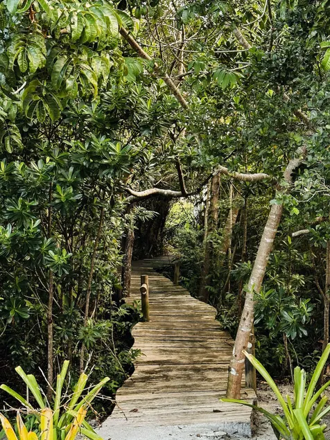 Casa da Mata Corumbau [Corumbau Forest House] - Image 1