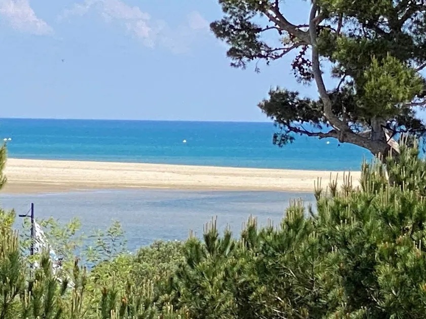 Appartement classé 4 étoiles avec terrasse à 200m de la plage - La Franqui - Image 1