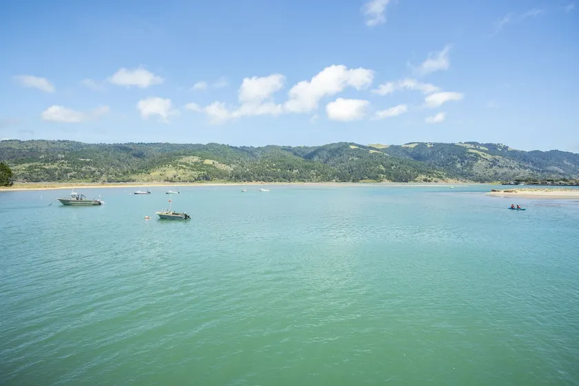 Views for miles of the  Ocean and Bolinas Lagoon - Image 1
