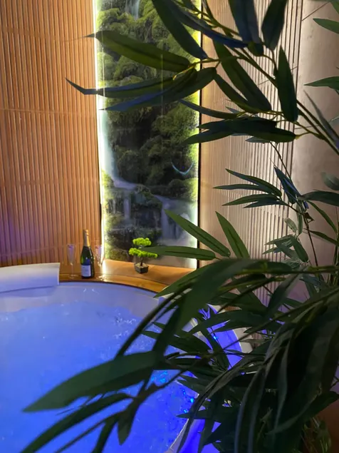 Esprit BALI ....LOVE SPA, Luxury Sauna in Mulhouse - Image 1