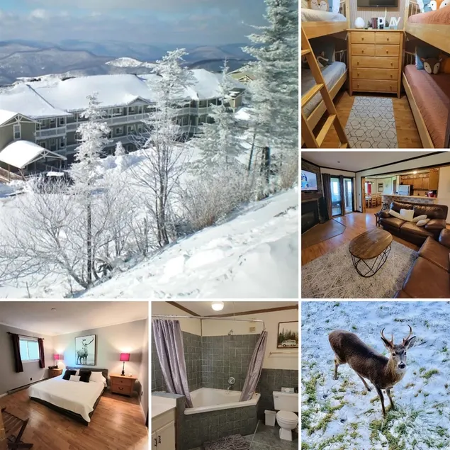 3BR/2BA Condo- Central to Activities - Image 1