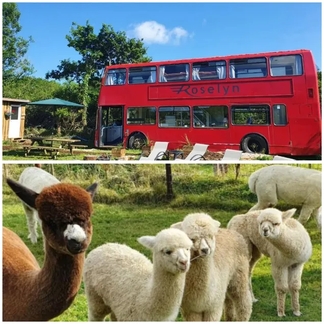 Double Decker Bus on an Alpaca Farm sleeps 8 - Image 1