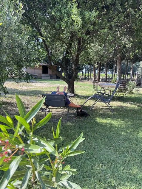 Gîtes Violettes et Amandier - Image 1