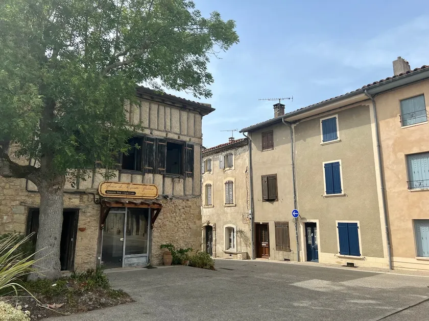 The Ash, Saint-Félix-de-Lauragais - Image 1