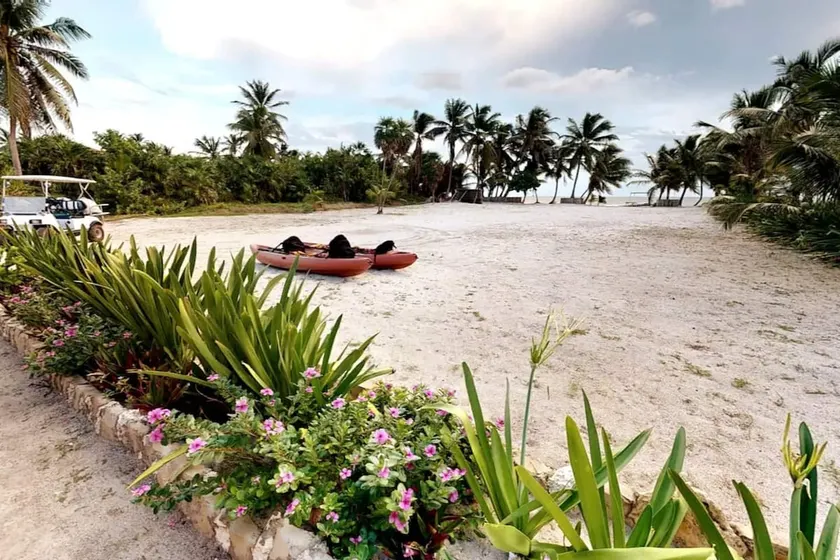 Remote Beachfront Villa with Staff by ALOM Estates - Image 1