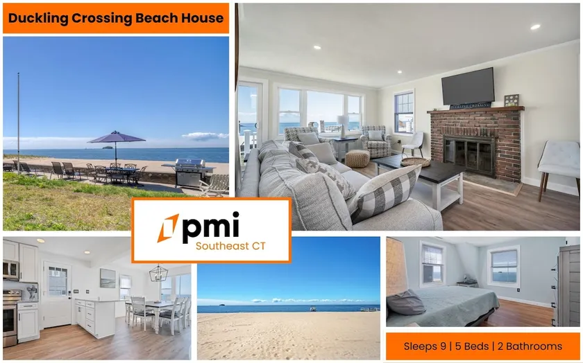 Duckling Crossing | Beach House on the Sand - Image 1