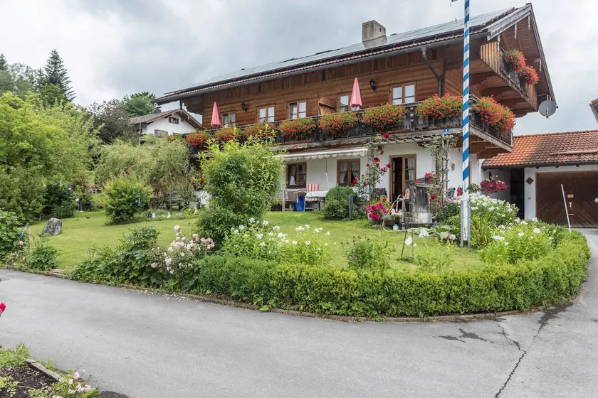 Edelweiß - Image 1
