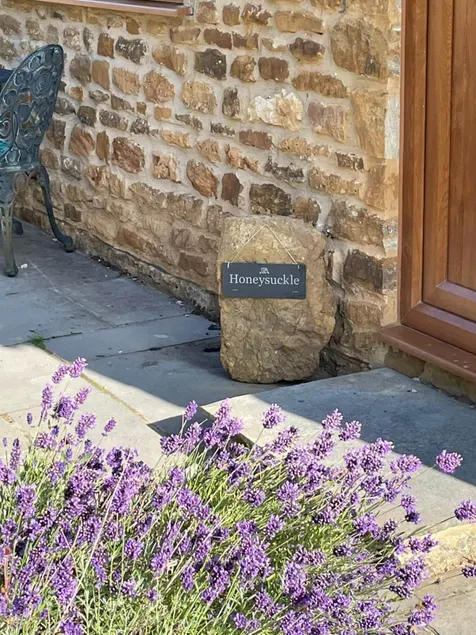 Honeysuckle Cottage - Cotswolds - Image 1
